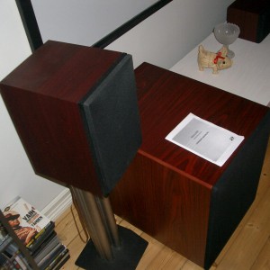 Rosewood Monilith + Dynaudio A52