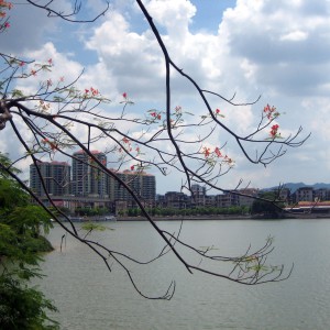 Zhaoqing