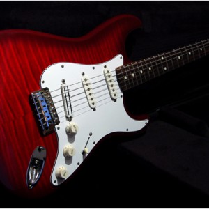 Fender Fotoflame Stratocaster