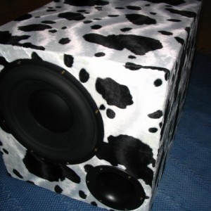 Subwoofer