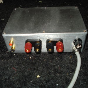 AMP6