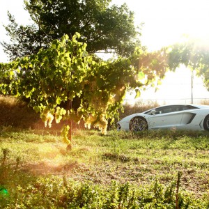 Lamborghini 50th Anniversary - Grande Giro - Preview